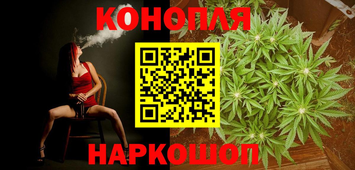 Камышин  Бошки марихуана сатива  Бошки марихуана планчик  Вход с VPN  Канабис OG Kush 
